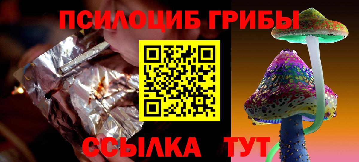 Псилоцибиновые грибы Psilocybe Кохма